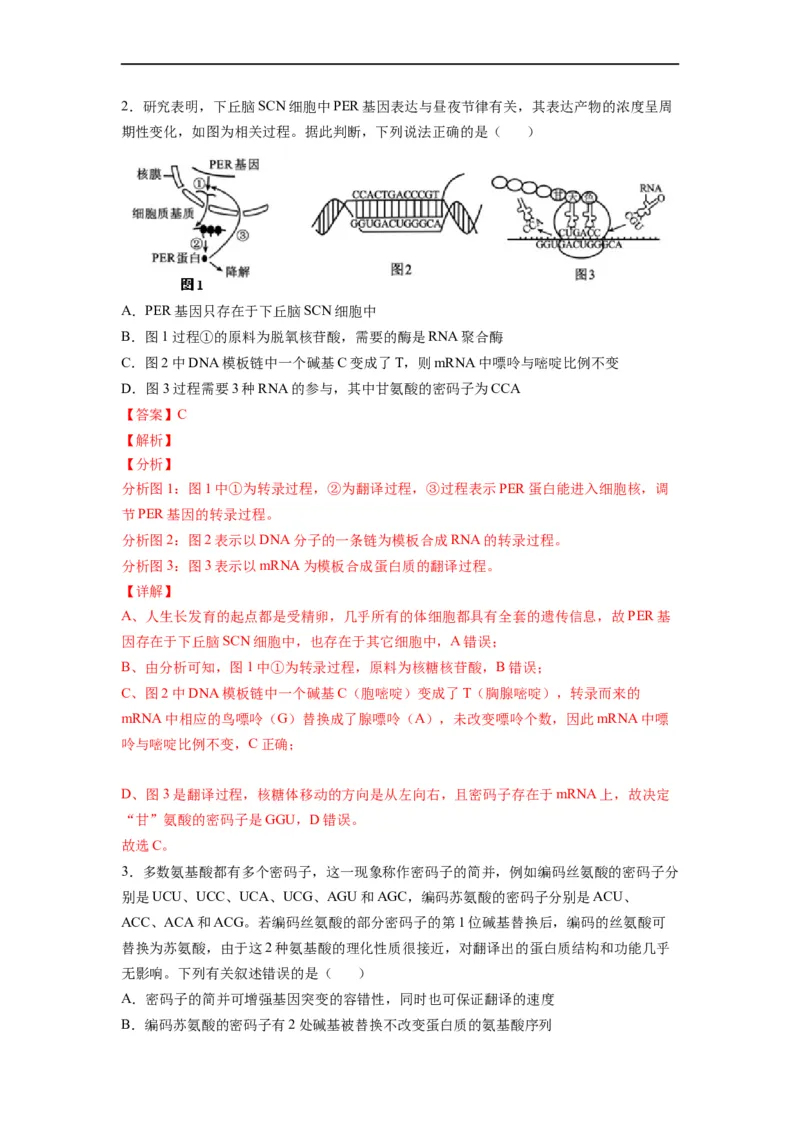 重难点11基因的表达（解析版）_通用版（老高考）复习资料_2023年复习资料_专项复习_2023年高考生物热点&middot;重点&middot;难点专练（全国通用）