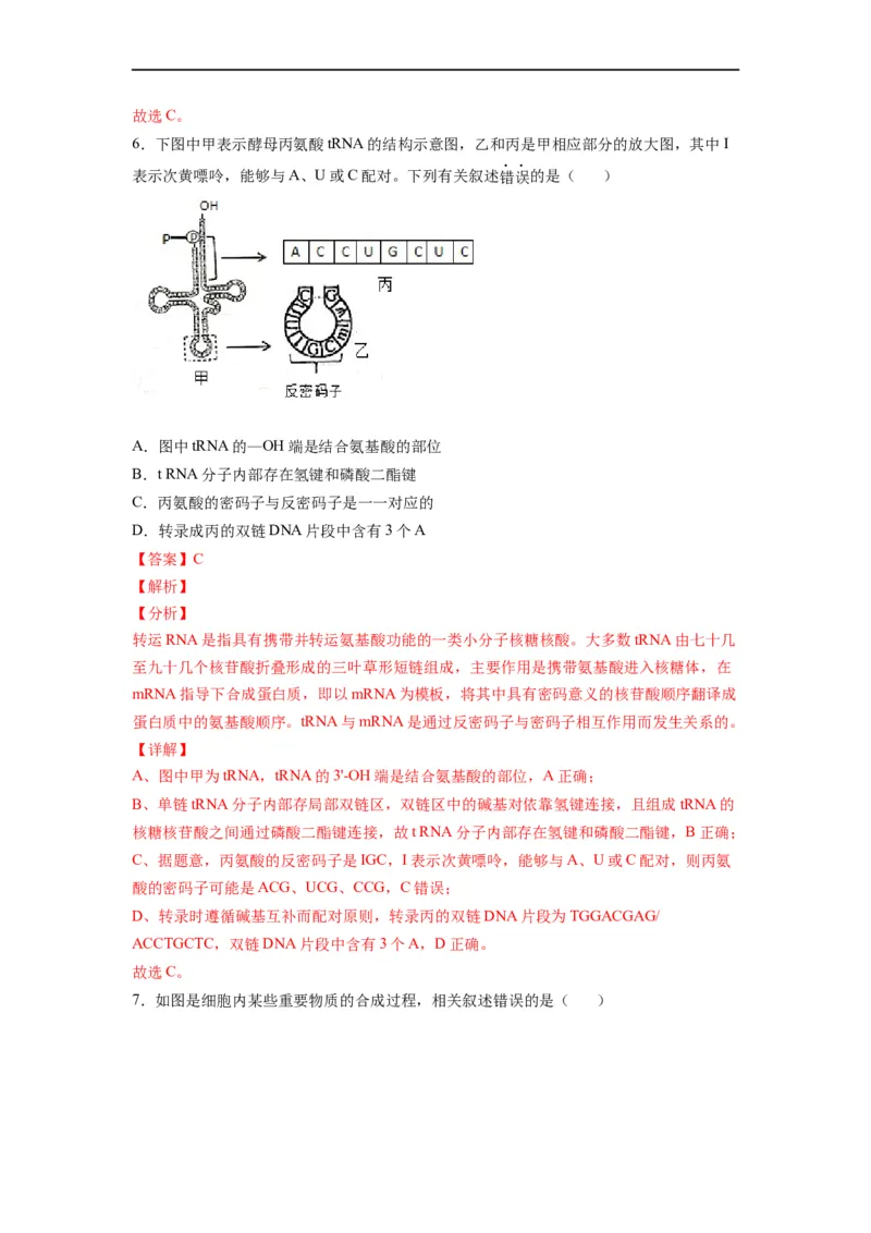 重难点11基因的表达（解析版）_通用版（老高考）复习资料_2023年复习资料_专项复习_2023年高考生物热点&middot;重点&middot;难点专练（全国通用）