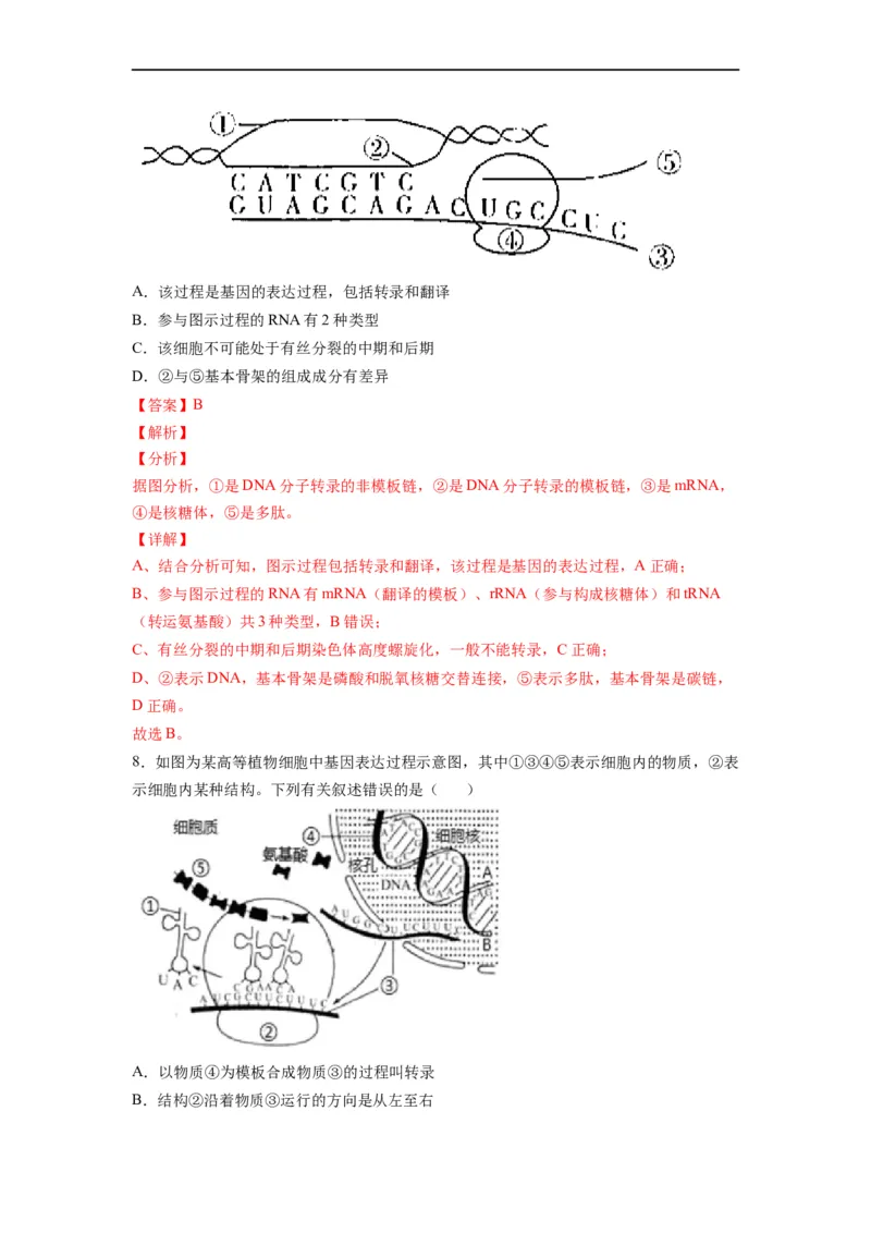 重难点11基因的表达（解析版）_通用版（老高考）复习资料_2023年复习资料_专项复习_2023年高考生物热点&middot;重点&middot;难点专练（全国通用）