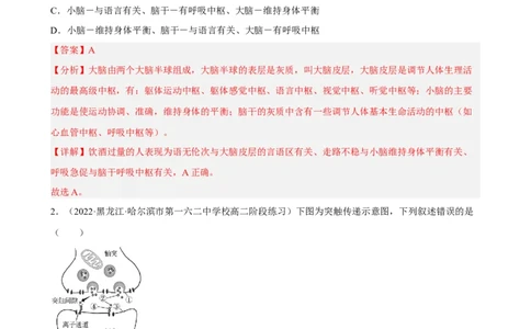 解密11神经调节（分层训练)（解析版）_新高考复习资料_2023年新高考复习资料_二轮复习_高频考点解密2023年高考生物二轮复习讲义+分层训练（全国通用）288808838