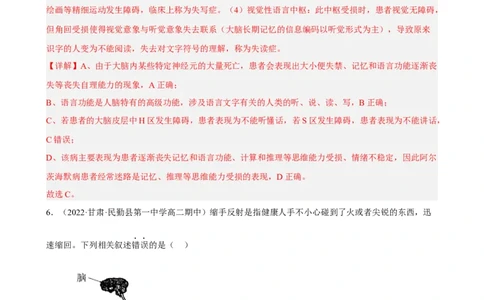 解密11神经调节（分层训练)（解析版）_新高考复习资料_2023年新高考复习资料_二轮复习_高频考点解密2023年高考生物二轮复习讲义+分层训练（全国通用）288808838