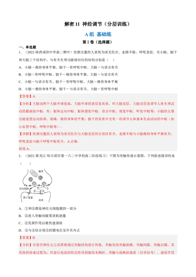解密11神经调节（分层训练)（解析版）_新高考复习资料_2023年新高考复习资料_二轮复习_高频考点解密2023年高考生物二轮复习讲义+分层训练（全国通用）288808838