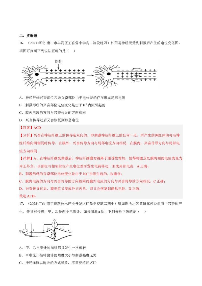 解密11神经调节（分层训练)（解析版）_新高考复习资料_2023年新高考复习资料_二轮复习_高频考点解密2023年高考生物二轮复习讲义+分层训练（全国通用）288808838