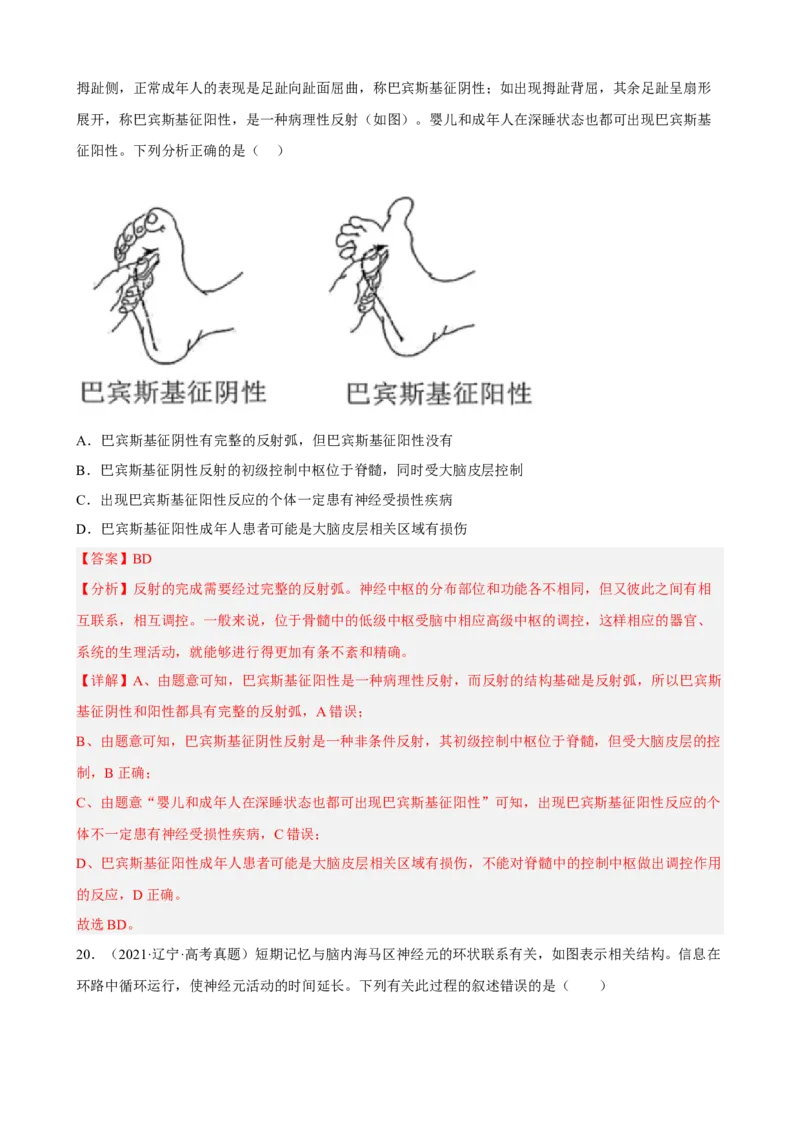 解密11神经调节（分层训练)（解析版）_新高考复习资料_2023年新高考复习资料_二轮复习_高频考点解密2023年高考生物二轮复习讲义+分层训练（全国通用）288808838