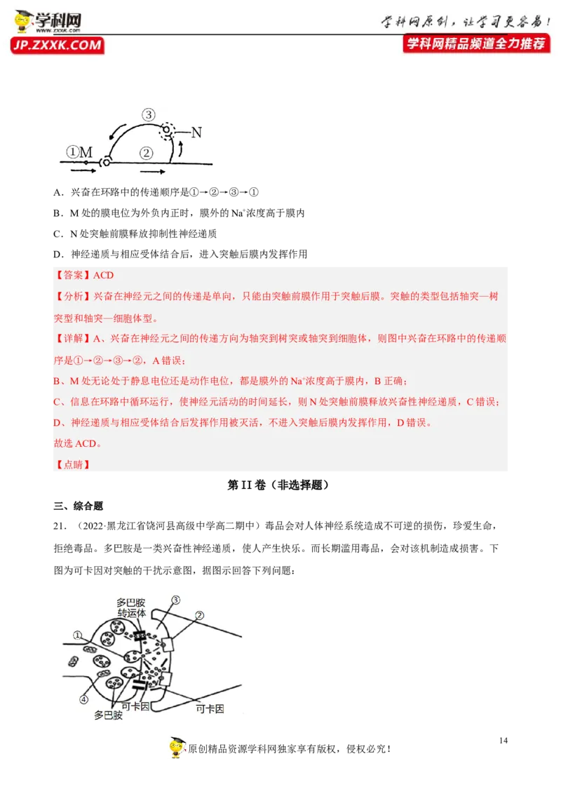 解密11神经调节（分层训练)（解析版）_新高考复习资料_2023年新高考复习资料_二轮复习_高频考点解密2023年高考生物二轮复习讲义+分层训练（全国通用）288808838