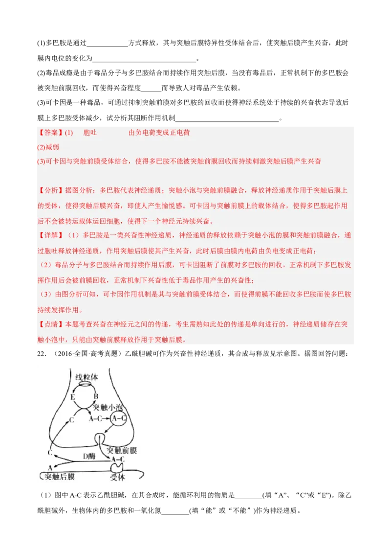 解密11神经调节（分层训练)（解析版）_新高考复习资料_2023年新高考复习资料_二轮复习_高频考点解密2023年高考生物二轮复习讲义+分层训练（全国通用）288808838