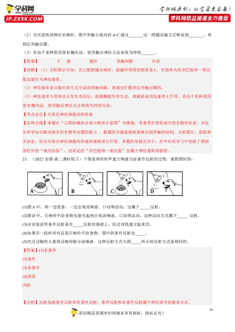 解密11神经调节（分层训练)（解析版）_新高考复习资料_2023年新高考复习资料_二轮复习_高频考点解密2023年高考生物二轮复习讲义+分层训练（全国通用）288808838