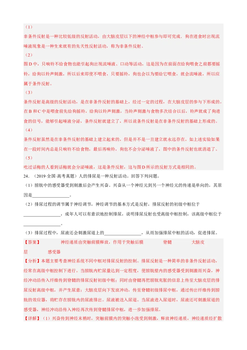 解密11神经调节（分层训练)（解析版）_新高考复习资料_2023年新高考复习资料_二轮复习_高频考点解密2023年高考生物二轮复习讲义+分层训练（全国通用）288808838