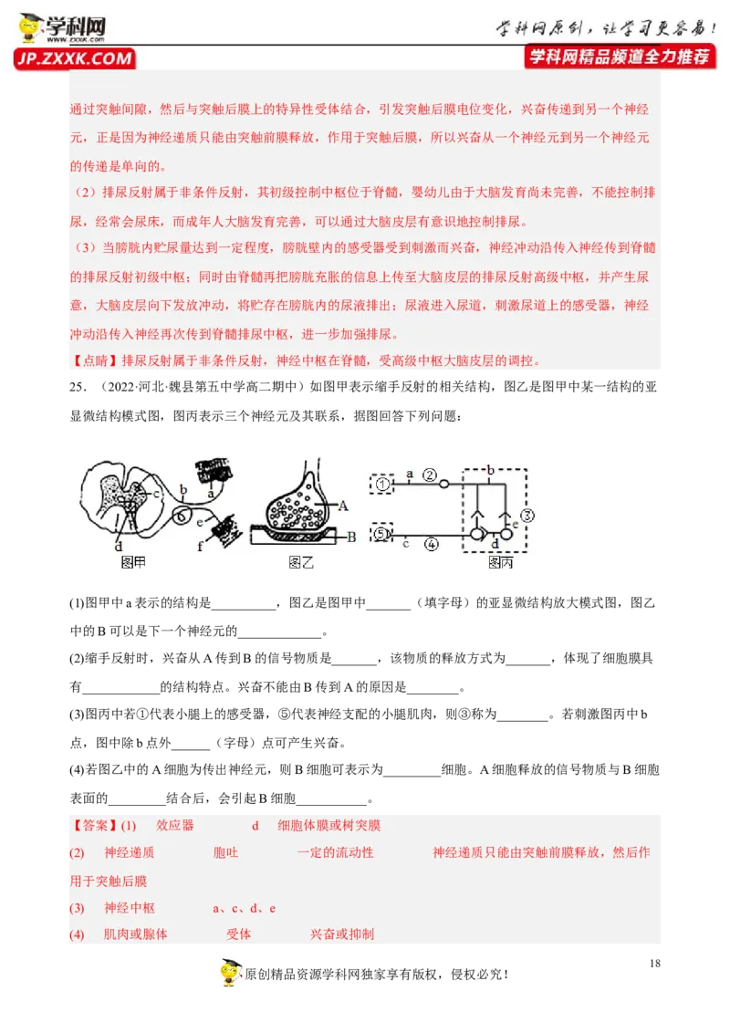 解密11神经调节（分层训练)（解析版）_新高考复习资料_2023年新高考复习资料_二轮复习_高频考点解密2023年高考生物二轮复习讲义+分层训练（全国通用）288808838