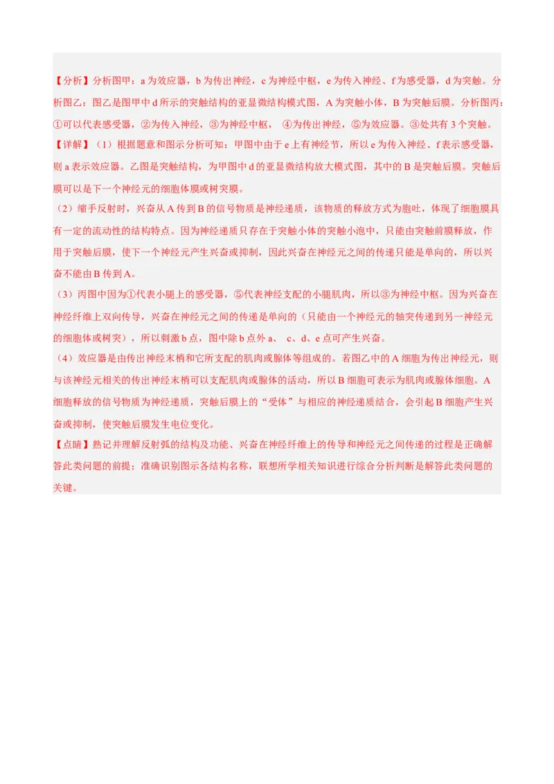 解密11神经调节（分层训练)（解析版）_新高考复习资料_2023年新高考复习资料_二轮复习_高频考点解密2023年高考生物二轮复习讲义+分层训练（全国通用）288808838