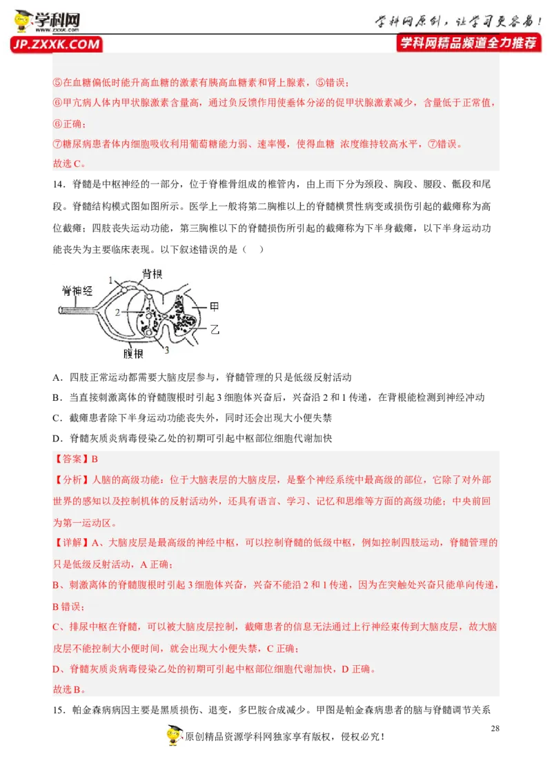 解密11神经调节（分层训练)（解析版）_新高考复习资料_2023年新高考复习资料_二轮复习_高频考点解密2023年高考生物二轮复习讲义+分层训练（全国通用）288808838