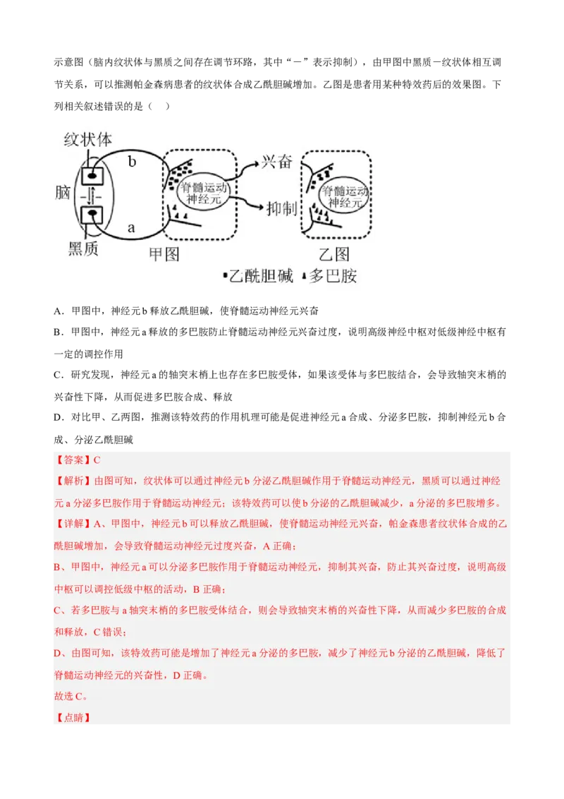 解密11神经调节（分层训练)（解析版）_新高考复习资料_2023年新高考复习资料_二轮复习_高频考点解密2023年高考生物二轮复习讲义+分层训练（全国通用）288808838