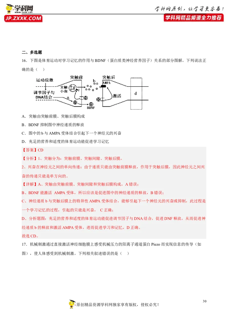 解密11神经调节（分层训练)（解析版）_新高考复习资料_2023年新高考复习资料_二轮复习_高频考点解密2023年高考生物二轮复习讲义+分层训练（全国通用）288808838