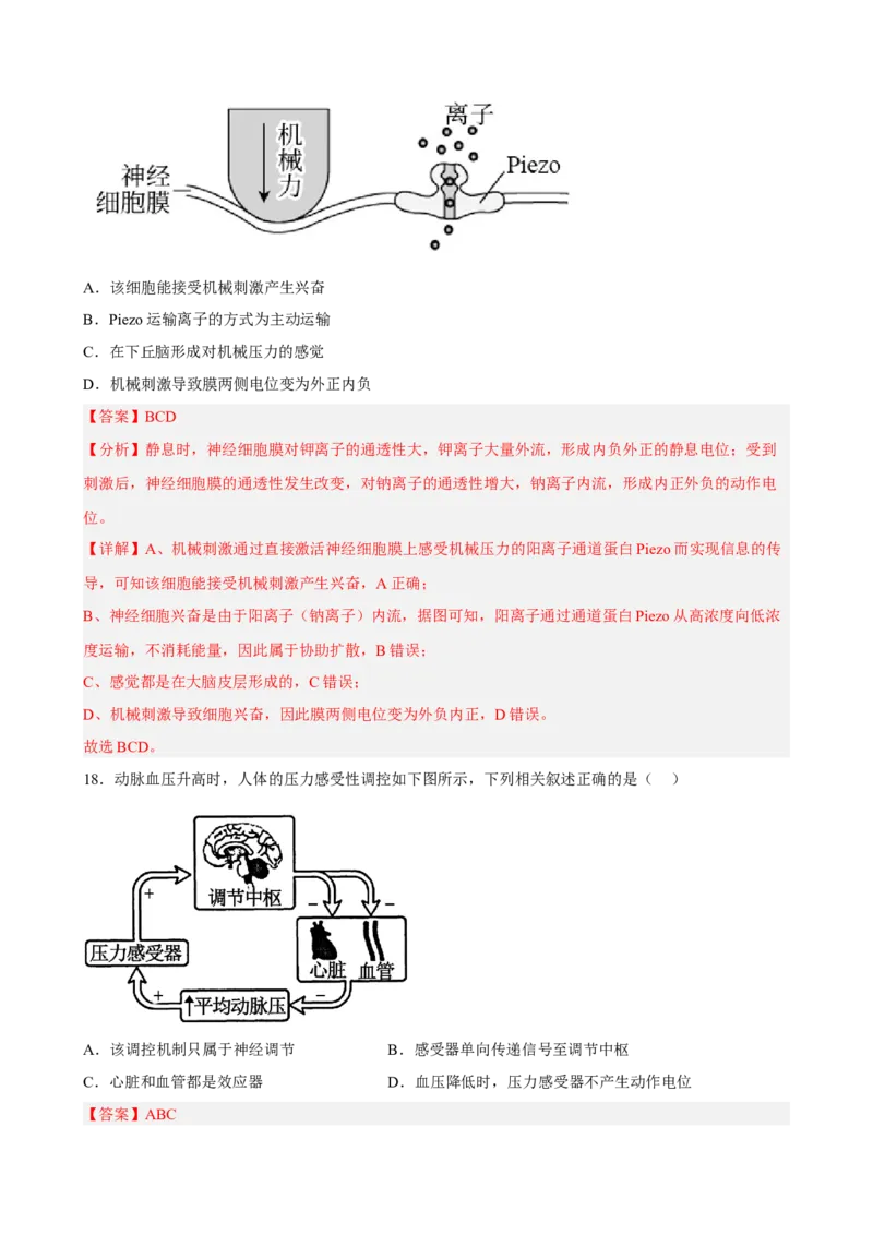 解密11神经调节（分层训练)（解析版）_新高考复习资料_2023年新高考复习资料_二轮复习_高频考点解密2023年高考生物二轮复习讲义+分层训练（全国通用）288808838