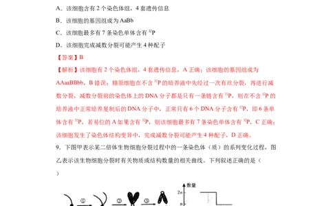 课时23染色体组的相关判断-2023年高考生物一轮复习小题多维练（解析版）_通用版（老高考）复习资料_2023年复习资料_一轮复习_2023年高考生物一轮复习小题多维练（全国通用）