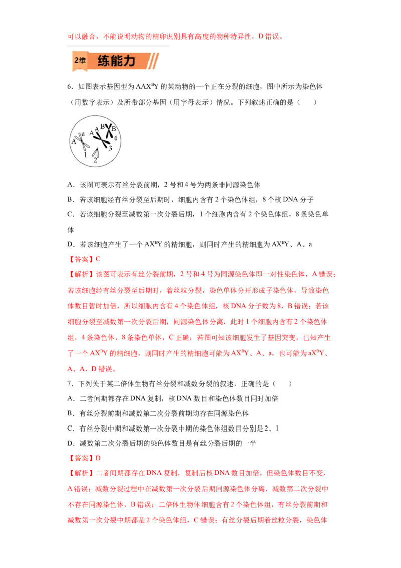 课时23染色体组的相关判断-2023年高考生物一轮复习小题多维练（解析版）_通用版（老高考）复习资料_2023年复习资料_一轮复习_2023年高考生物一轮复习小题多维练（全国通用）