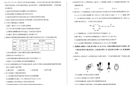 辽宁省朝阳市重点高中2025-2026学年高一上学期10月联考试题生物PDF版含解析_2025年11月高一试卷_251102辽宁省朝阳市重点高中2025-2026学年高一上学期10月联考试题