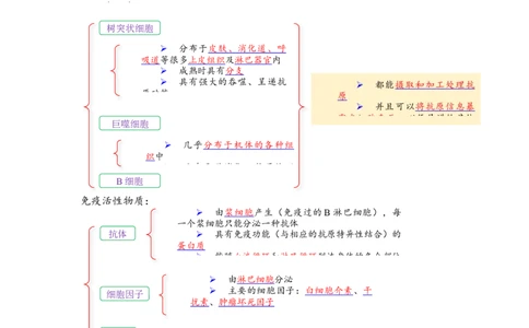 解密13免疫调节（讲义)（学生版）_新高考复习资料_2023年新高考复习资料_二轮复习_高频考点解密2023年高考生物二轮复习讲义+分层训练（全国通用）288808838