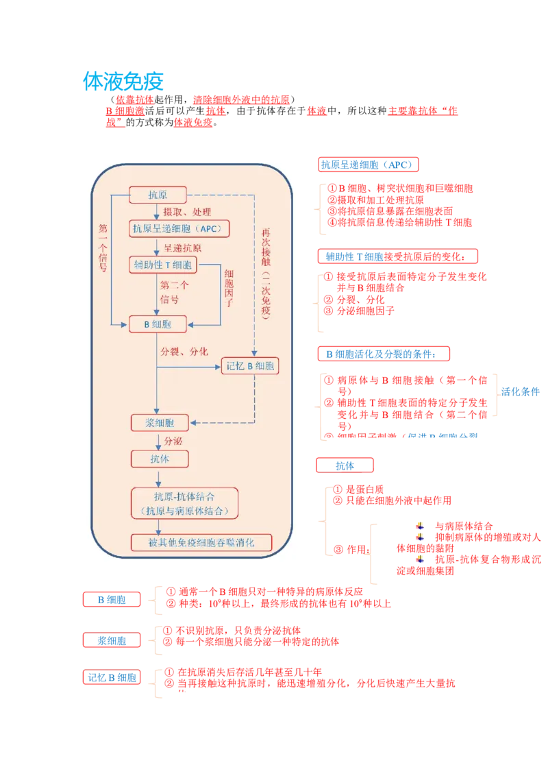 解密13免疫调节（讲义)（学生版）_新高考复习资料_2023年新高考复习资料_二轮复习_高频考点解密2023年高考生物二轮复习讲义+分层训练（全国通用）288808838