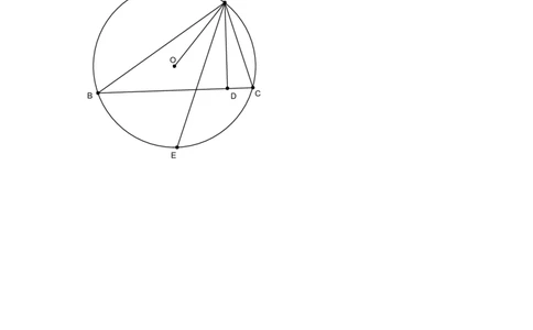 24.1圆复习_人教版数学九年级上册_版本一_人教版数学九年级上册（RJ）--5同步练习_人教版数学九年级上册（RJ）--5同步练习