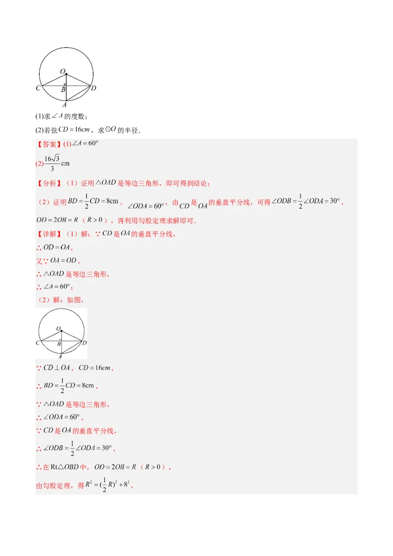 专题01垂径定理（专项训练）（教师版）_人教版数学九年级上册_版本二_九年级数学上册（人教版）_单元知识复习专项-U105_2026版