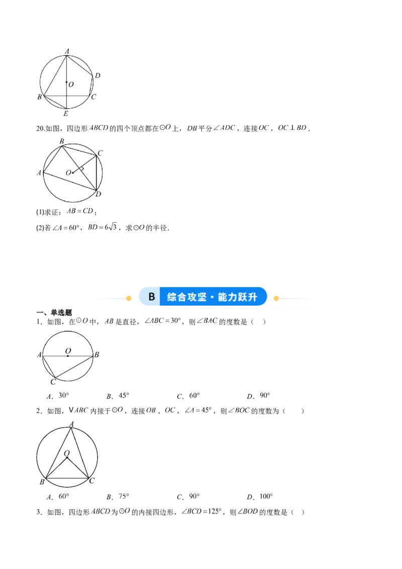 专题02圆周角定理（专项训练）（学生版）_人教版数学九年级上册_版本二_九年级数学上册（人教版）_单元知识复习专项-U105_2026版