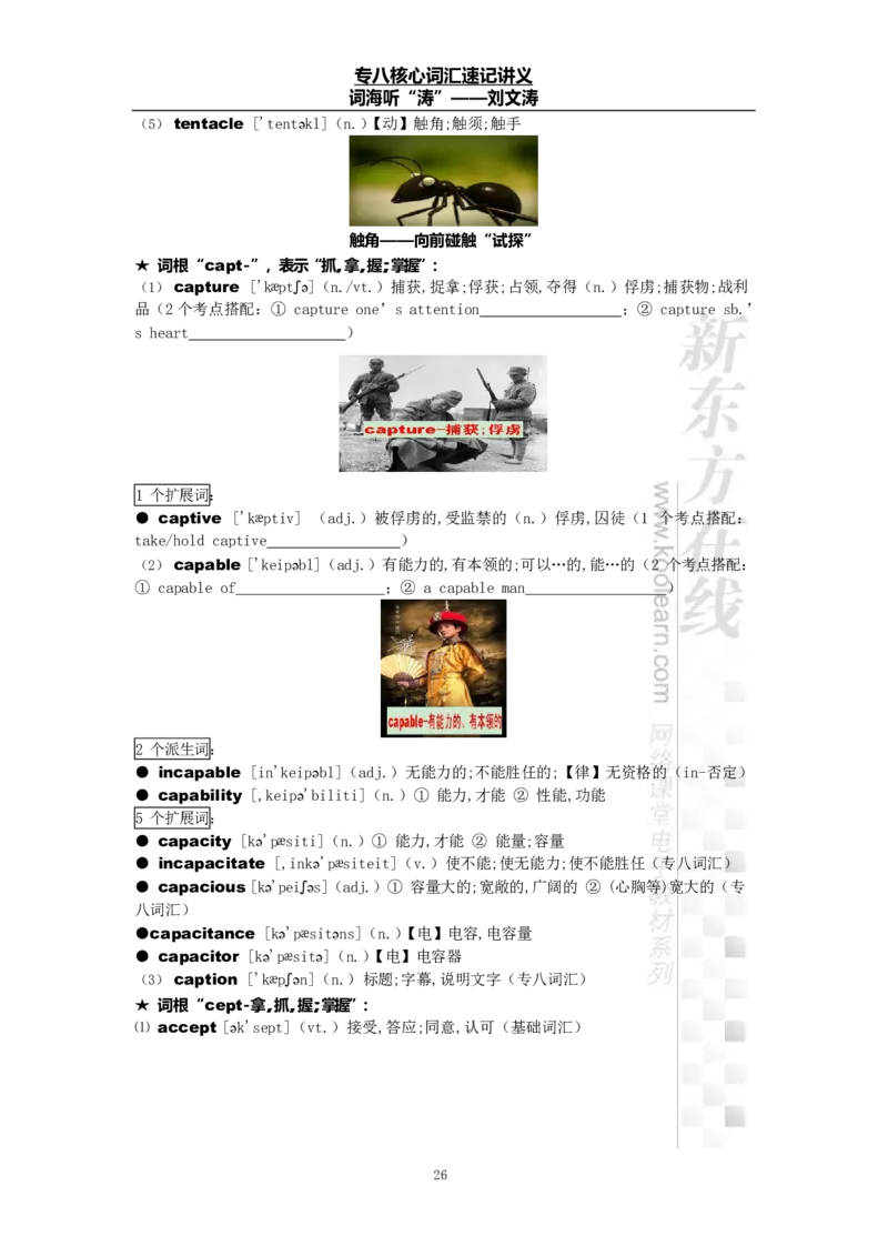 专八词汇打卡材料_英语专八真题c_专八版本1(优先学)_专八各类练习(赠送资料)_专八备考资料包_1专八词汇备考