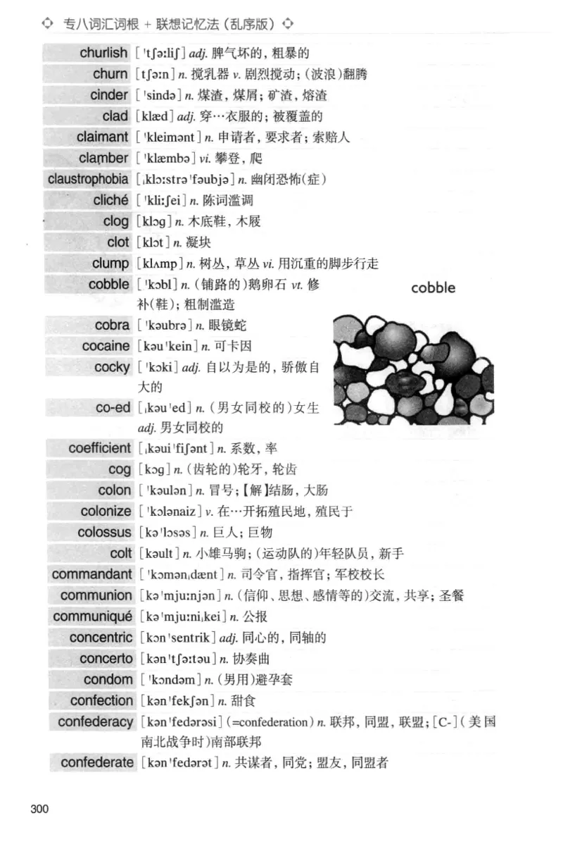 专八词汇词根+联想记忆法_英语专八真题c_专八版本1(优先学)_专八各类练习(赠送资料)_华研专八练习_华研新版专八_华研专八词汇13000_赠送资料
