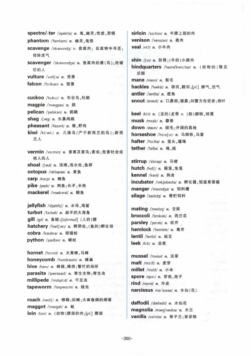 专八词汇13000_英语专八真题c_专八各板块专项资料合集_B3-专八词汇13000