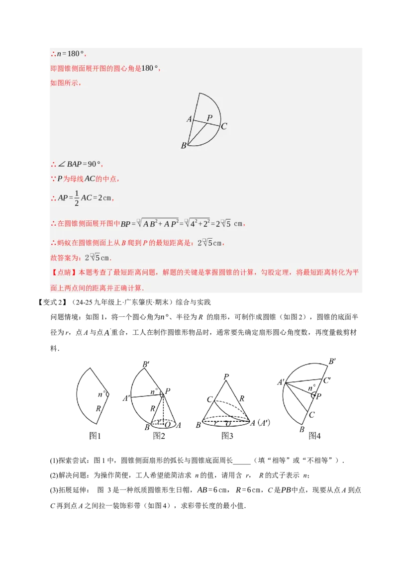 专题04圆（期末知识清单）（解析版）_人教版数学九年级上册_版本二_九年级数学上册（人教版）_期末专项复习-U276_期末总复习_2026版