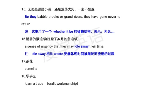 近十年专八翻译重点词、句整理_英语专八真题c_专八版本1(优先学)_专八必看重点资料(赠送)