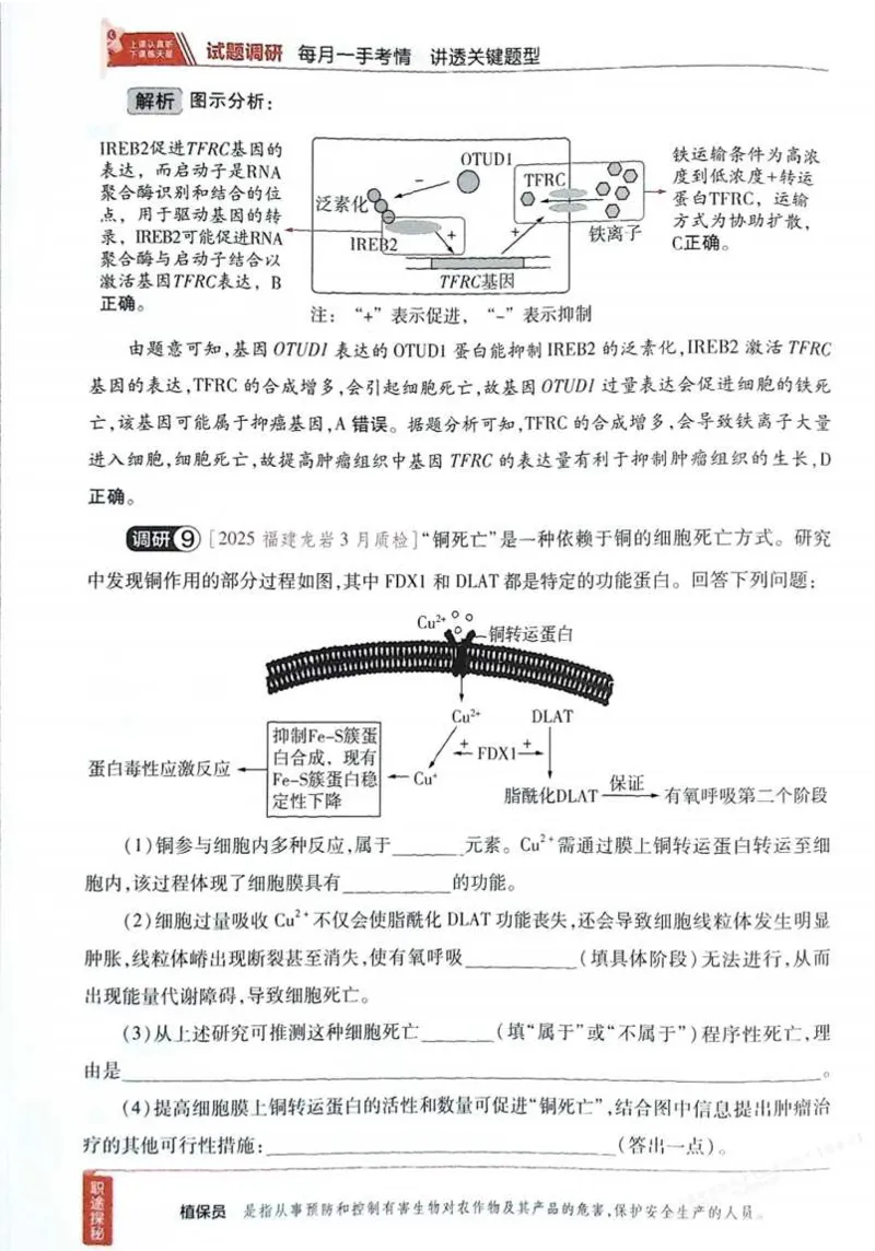2026试题调研生物第一辑_高中三年全科资料_高中_高中1_2026版高考《试题调研》第1辑（高考超重点）9科全套