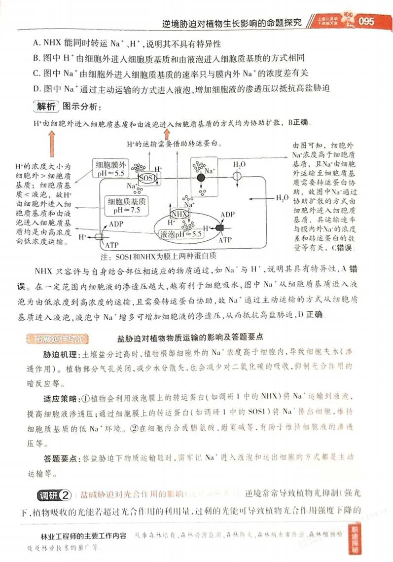 2026试题调研生物第一辑_高中三年全科资料_高中_高中1_2026版高考《试题调研》第1辑（高考超重点）9科全套