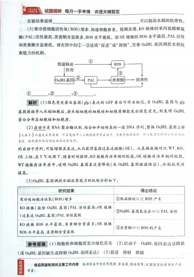 2026试题调研生物第一辑_高中三年全科资料_高中_高中1_2026版高考《试题调研》第1辑（高考超重点）9科全套