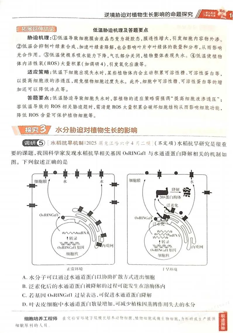 2026试题调研生物第一辑_高中三年全科资料_高中_高中1_2026版高考《试题调研》第1辑（高考超重点）9科全套