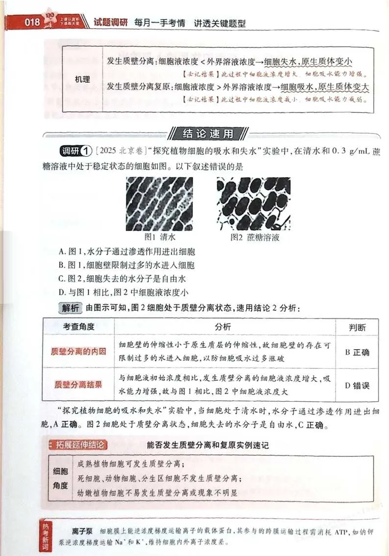 2026试题调研生物第一辑_高中三年全科资料_高中_高中1_2026版高考《试题调研》第1辑（高考超重点）9科全套