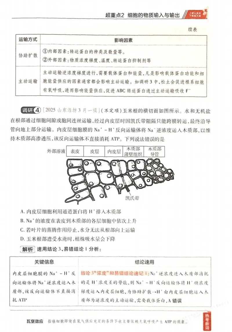 2026试题调研生物第一辑_高中三年全科资料_高中_高中1_2026版高考《试题调研》第1辑（高考超重点）9科全套