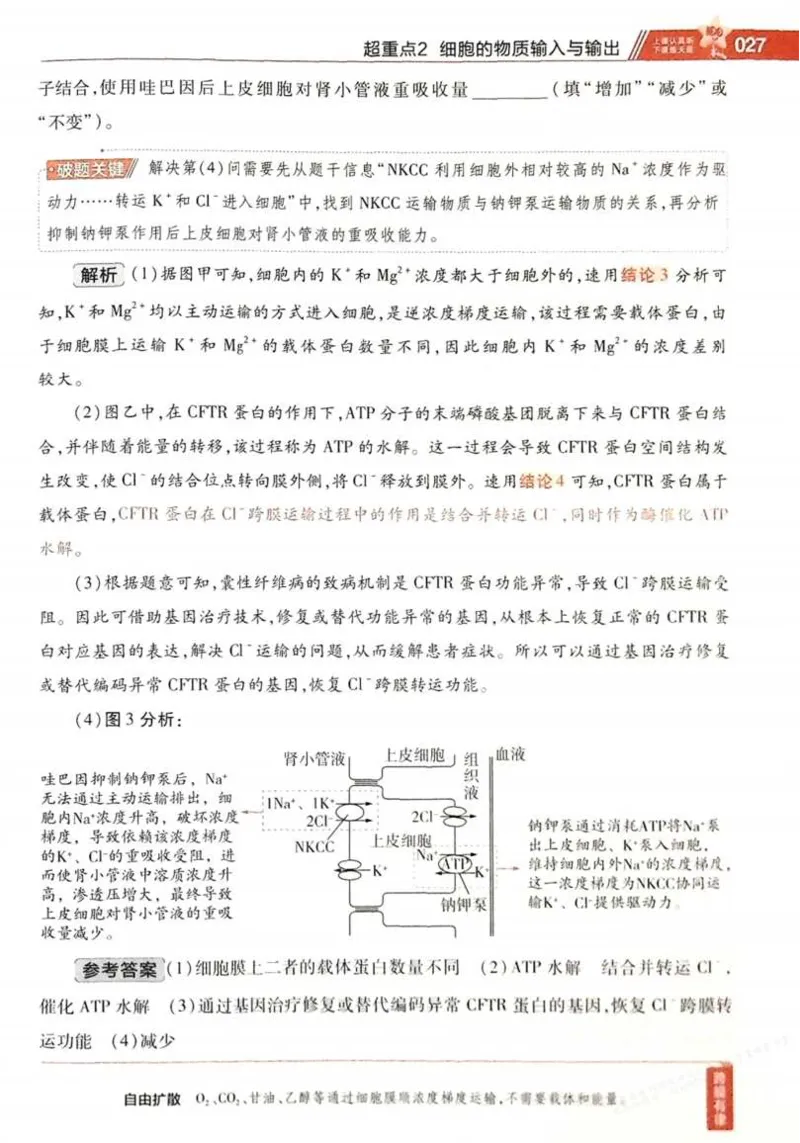 2026试题调研生物第一辑_高中三年全科资料_高中_高中1_2026版高考《试题调研》第1辑（高考超重点）9科全套