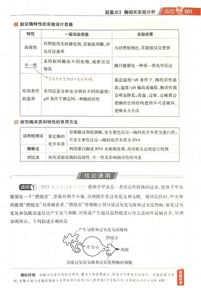 2026试题调研生物第一辑_高中三年全科资料_高中_高中1_2026版高考《试题调研》第1辑（高考超重点）9科全套
