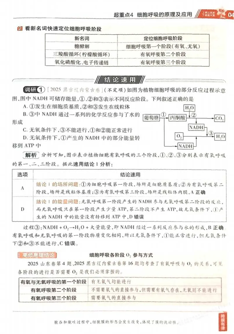 2026试题调研生物第一辑_高中三年全科资料_高中_高中1_2026版高考《试题调研》第1辑（高考超重点）9科全套