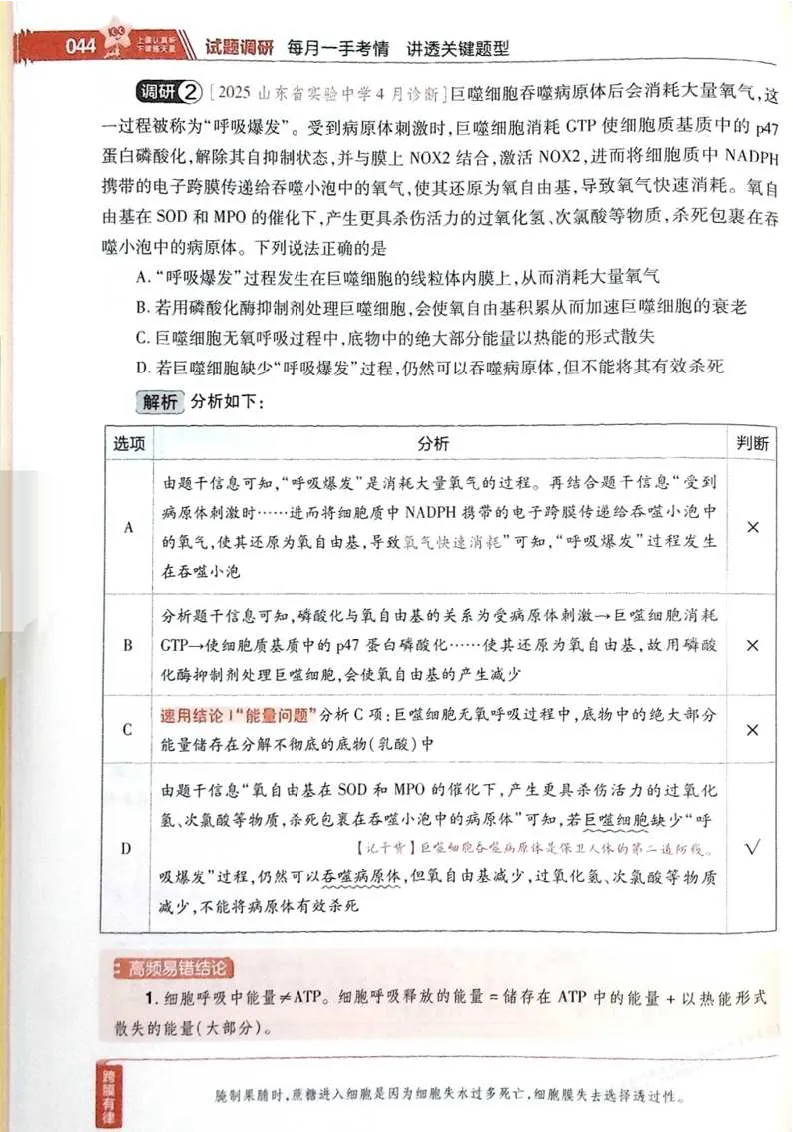 2026试题调研生物第一辑_高中三年全科资料_高中_高中1_2026版高考《试题调研》第1辑（高考超重点）9科全套