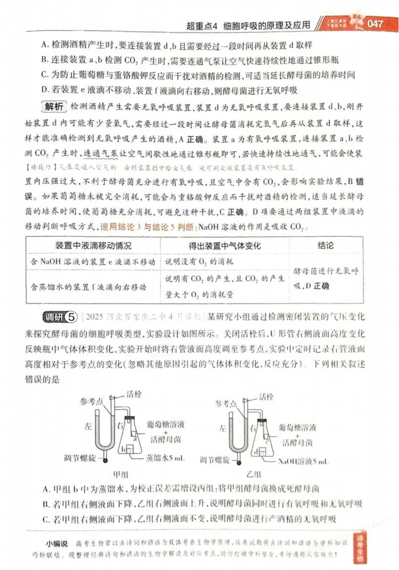 2026试题调研生物第一辑_高中三年全科资料_高中_高中1_2026版高考《试题调研》第1辑（高考超重点）9科全套