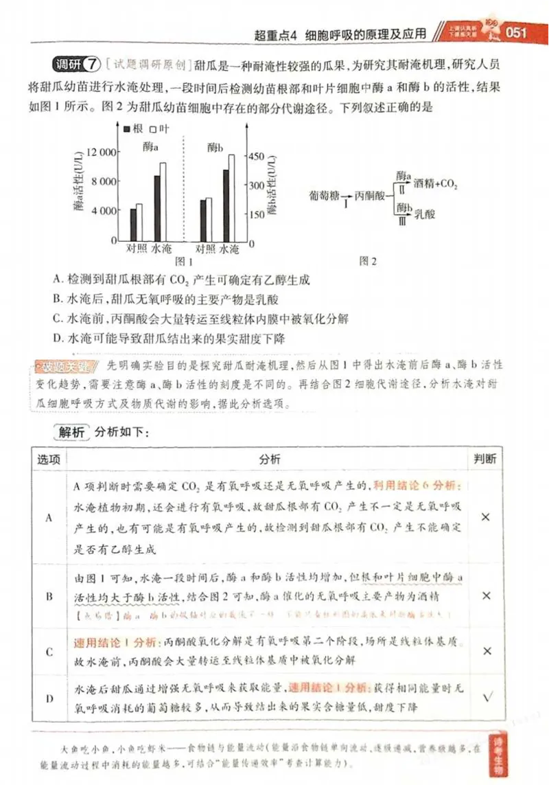 2026试题调研生物第一辑_高中三年全科资料_高中_高中1_2026版高考《试题调研》第1辑（高考超重点）9科全套