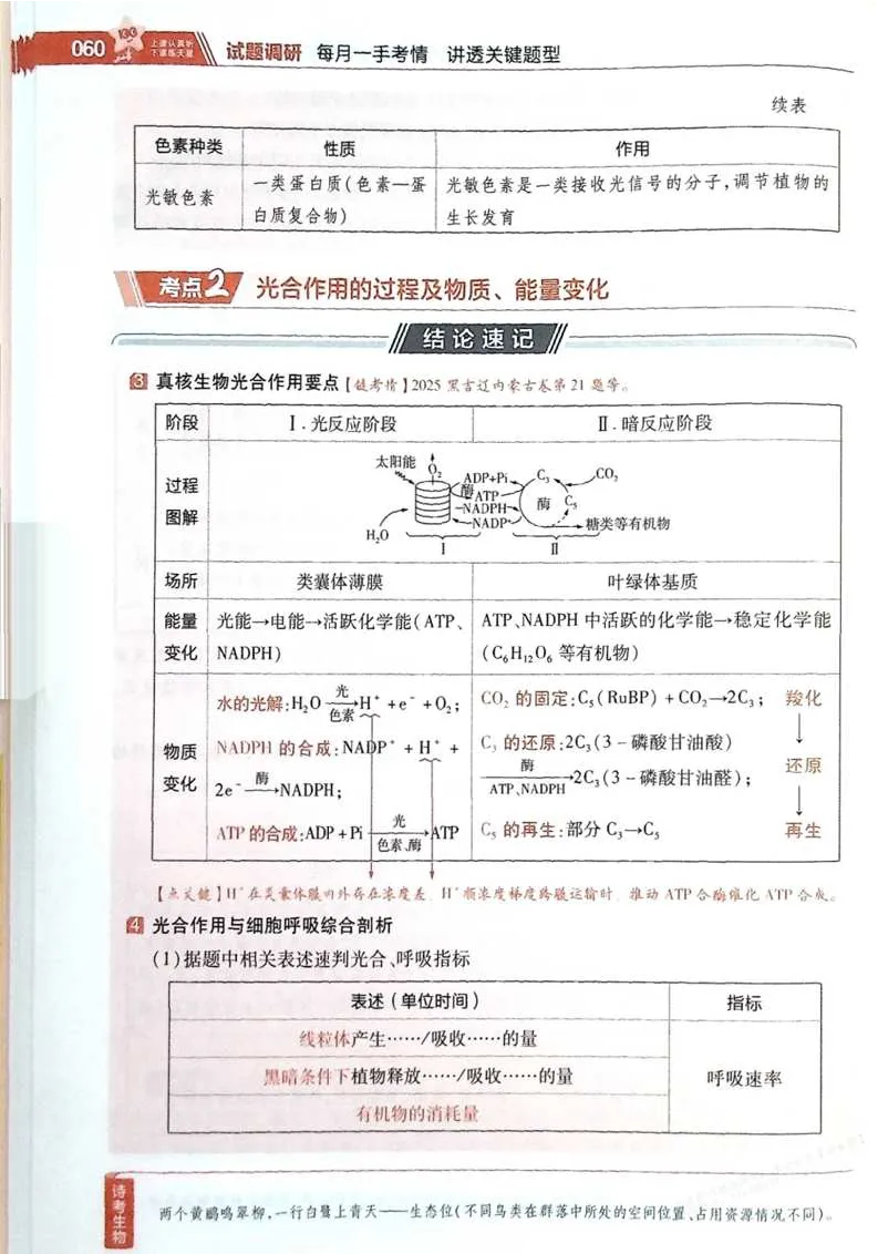 2026试题调研生物第一辑_高中三年全科资料_高中_高中1_2026版高考《试题调研》第1辑（高考超重点）9科全套