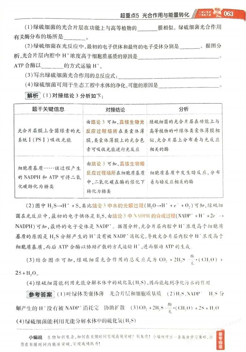 2026试题调研生物第一辑_高中三年全科资料_高中_高中1_2026版高考《试题调研》第1辑（高考超重点）9科全套
