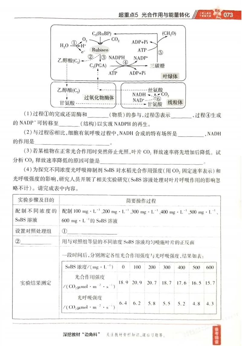 2026试题调研生物第一辑_高中三年全科资料_高中_高中1_2026版高考《试题调研》第1辑（高考超重点）9科全套