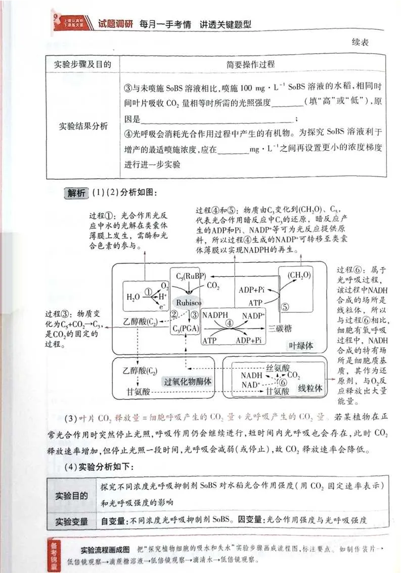 2026试题调研生物第一辑_高中三年全科资料_高中_高中1_2026版高考《试题调研》第1辑（高考超重点）9科全套