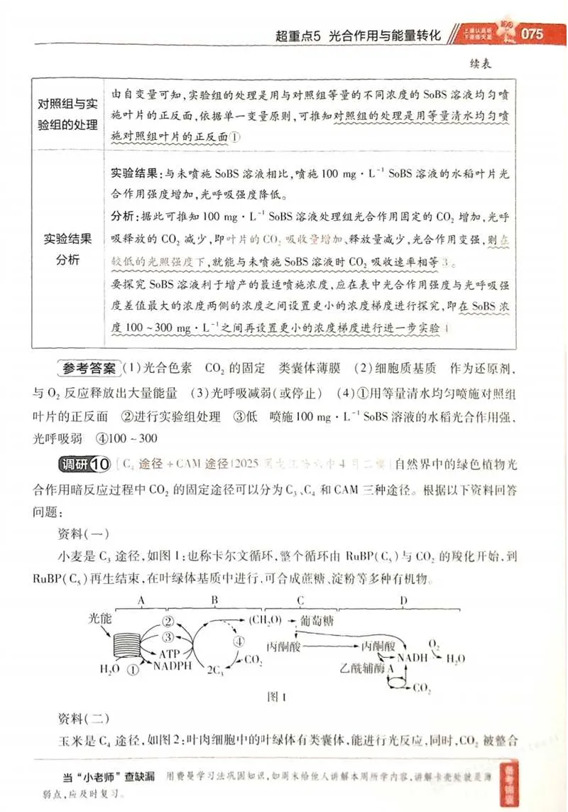 2026试题调研生物第一辑_高中三年全科资料_高中_高中1_2026版高考《试题调研》第1辑（高考超重点）9科全套