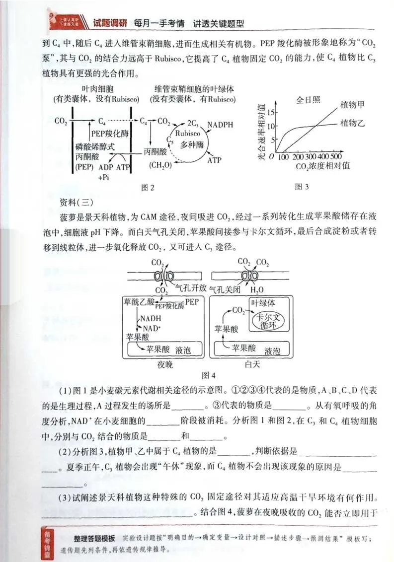 2026试题调研生物第一辑_高中三年全科资料_高中_高中1_2026版高考《试题调研》第1辑（高考超重点）9科全套