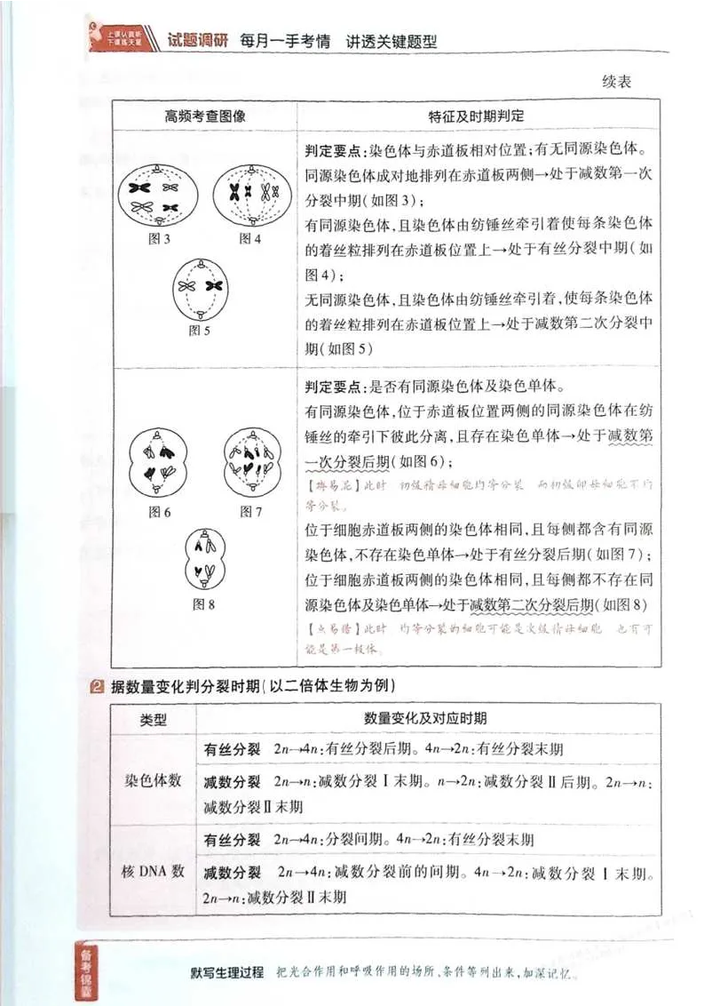 2026试题调研生物第一辑_高中三年全科资料_高中_高中1_2026版高考《试题调研》第1辑（高考超重点）9科全套